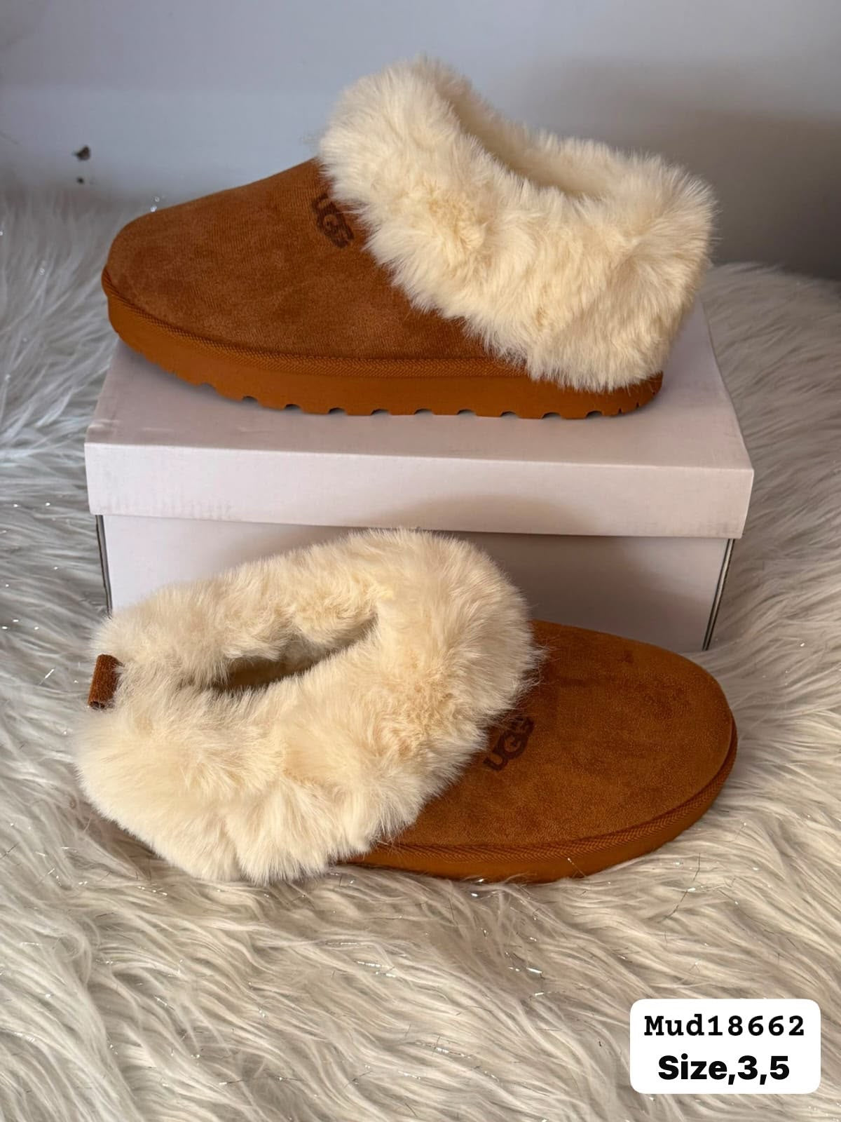 Ugg & Alo Shoes