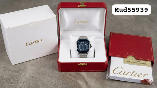 LUXE Silver & Navy Watch